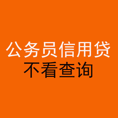 环县公务员信用贷款