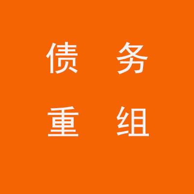 环县个人债务重组优化